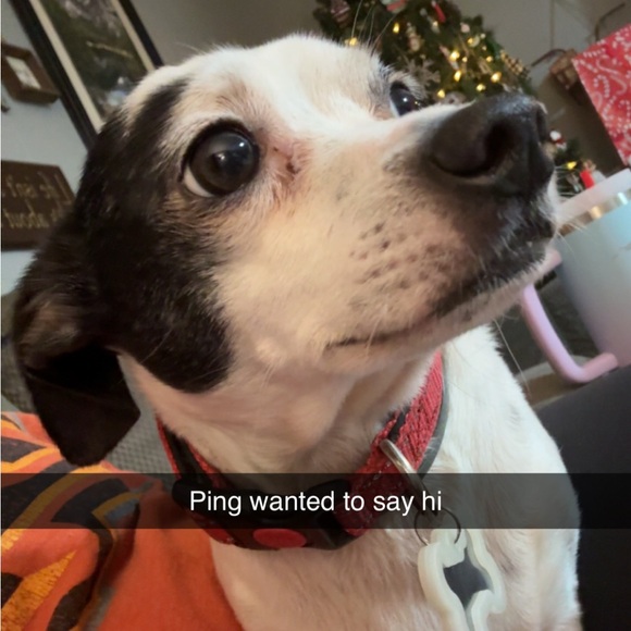 🎉 WYNNPORIUM IS LIVE 🎉 Hop on in and get a great deal! - Picture 13 of 13